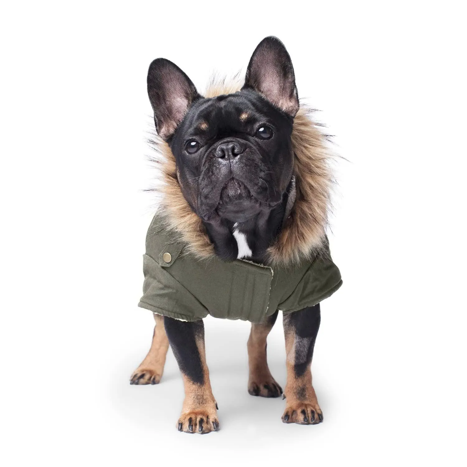 Canada Pooch Alaskan Army Parka Size 26 Army Green Insulated Dog Coat