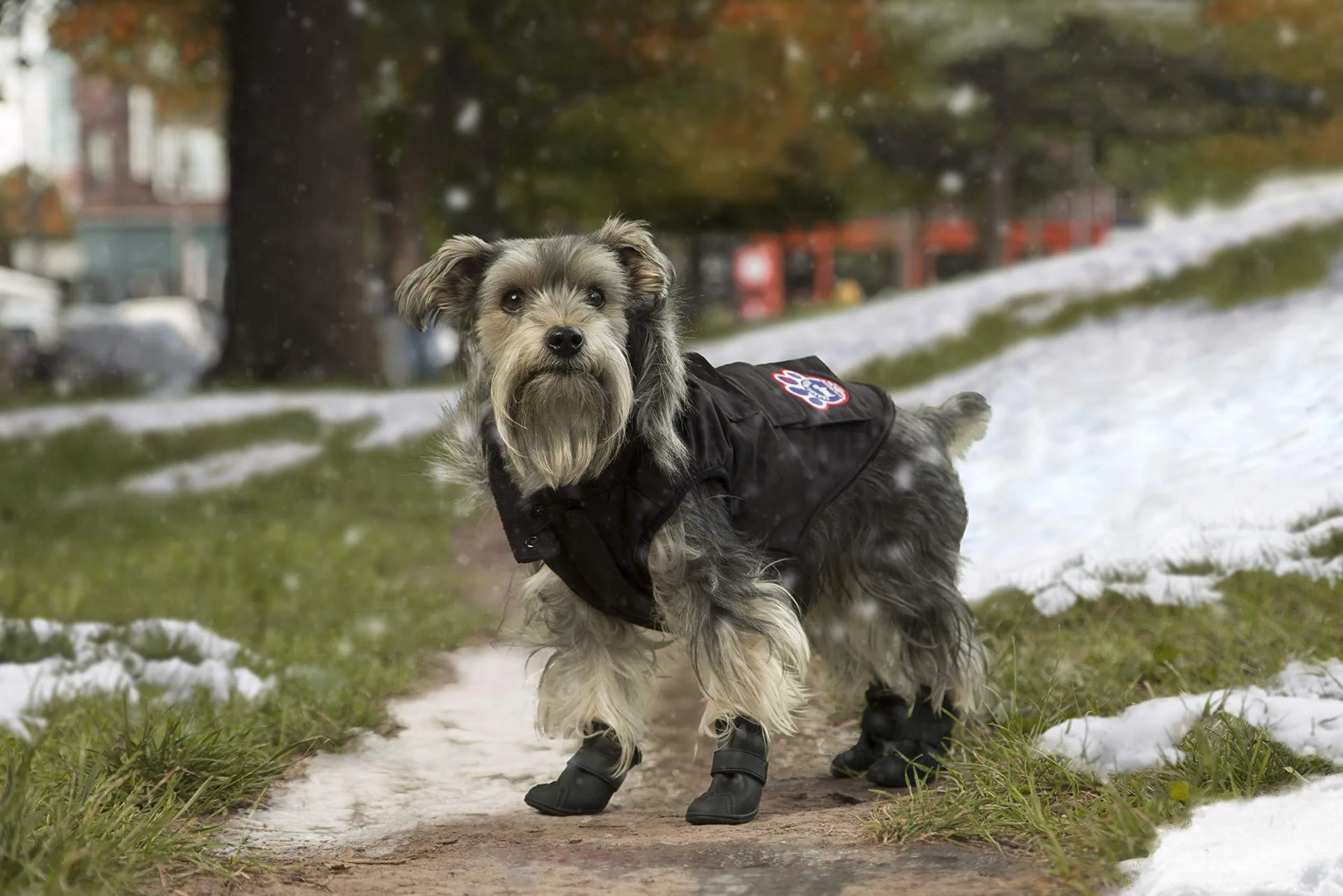 Canada Pooch Everest Explorer Size 16 Black Fleece Lined Insulated Dog Coat