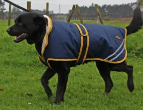 CAVALLINO NORTHAMPTON DOG COAT