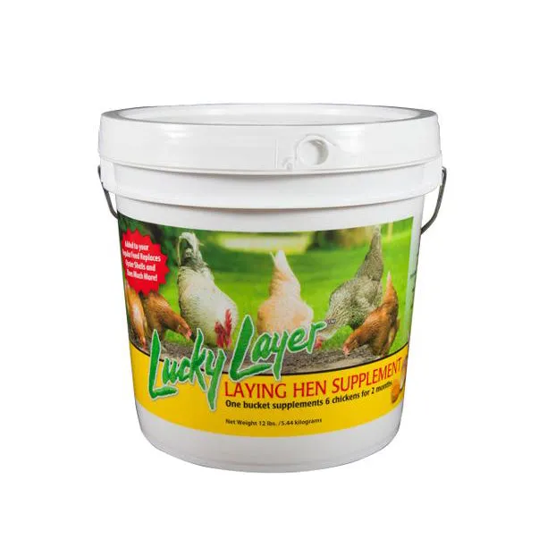 Lucky Layer Supplement 12 Lb Bucket