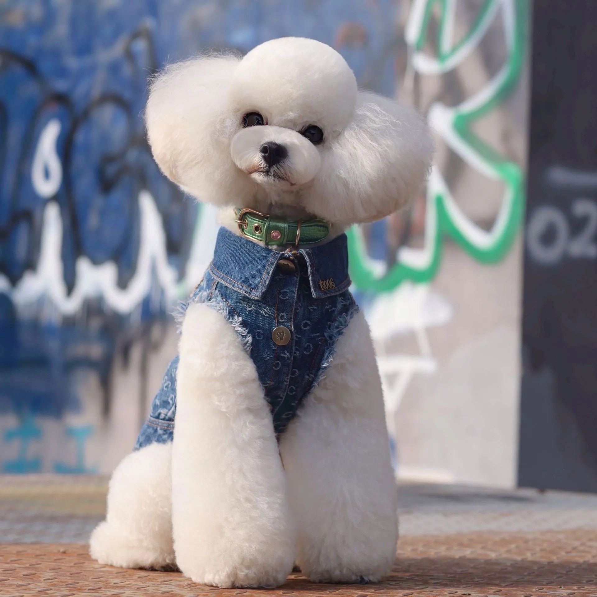 TaniWina Pawshion Petite Denim Vest-Coat: Chic Comfort for Small Paws